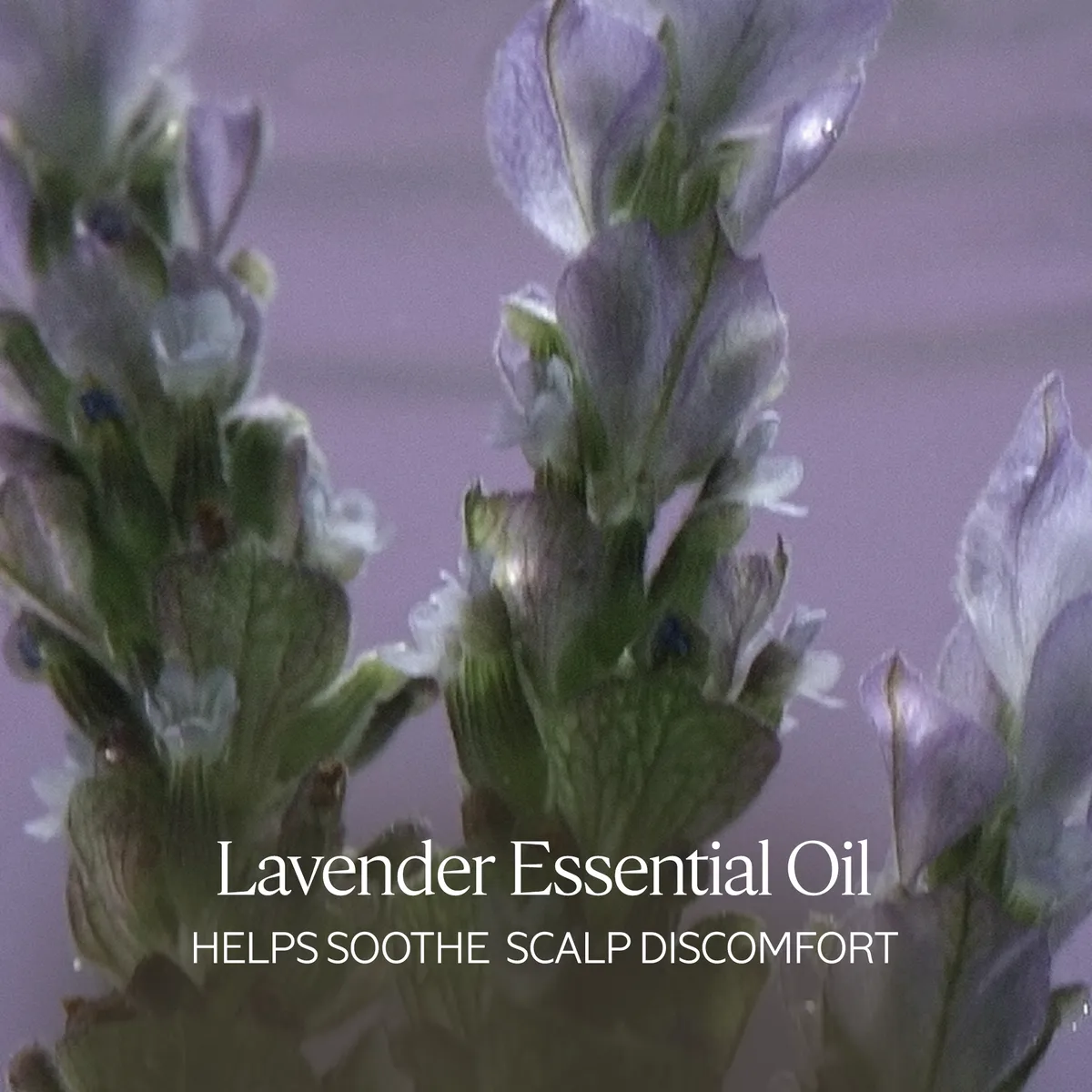 5 Essential Oils Gentle & Balance Shampoo 75ml