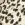 Animal Printed 3/4 Sleeve Midi Dress