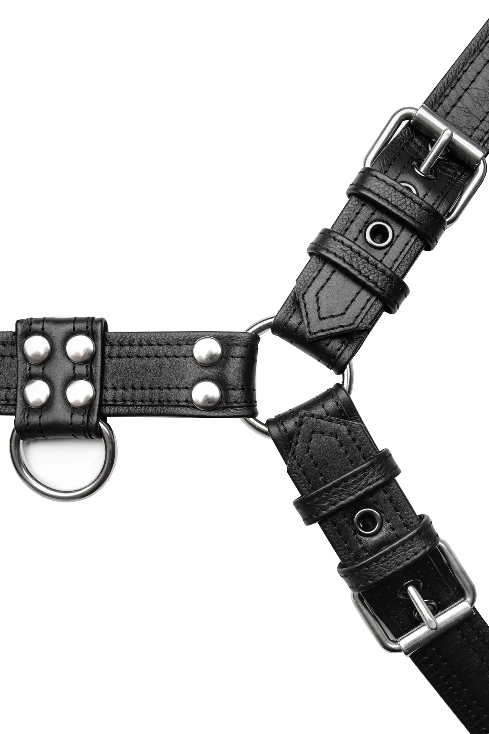 COMBAT BULLDOG - Stainless Steel