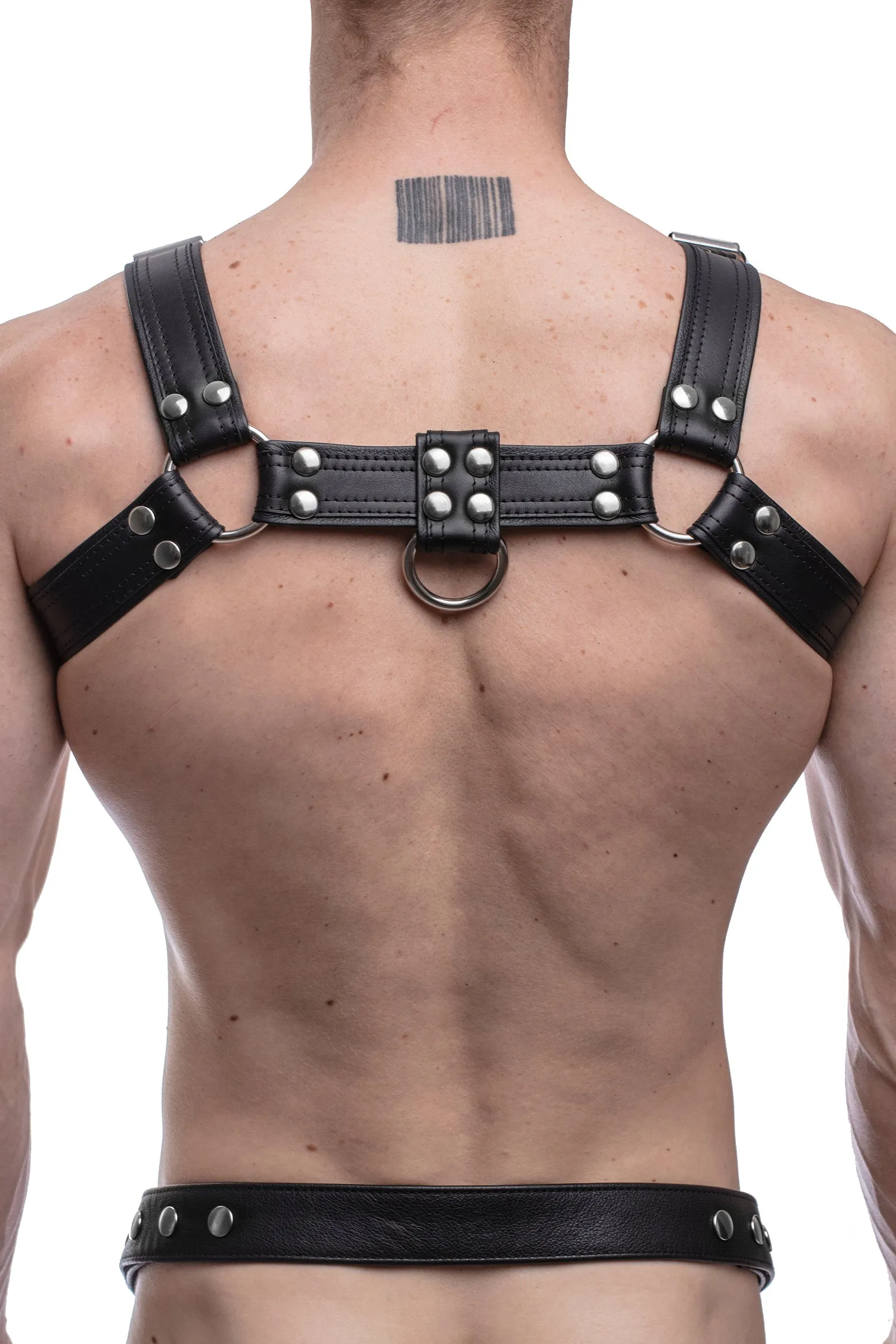 COMBAT BULLDOG - Stainless Steel