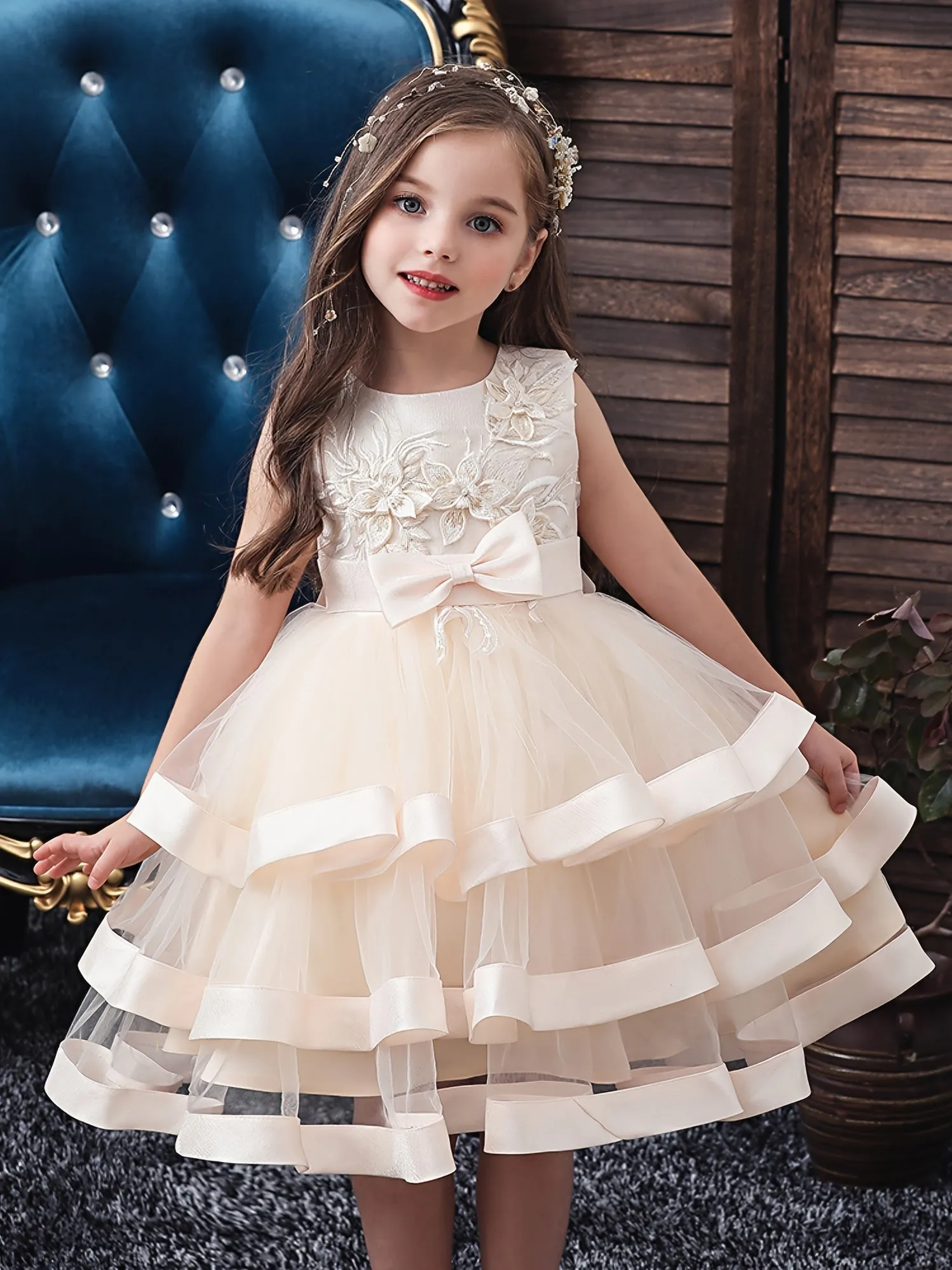 Elegant Princess Dress with Embroidery and Sleeveless Mesh Tutu