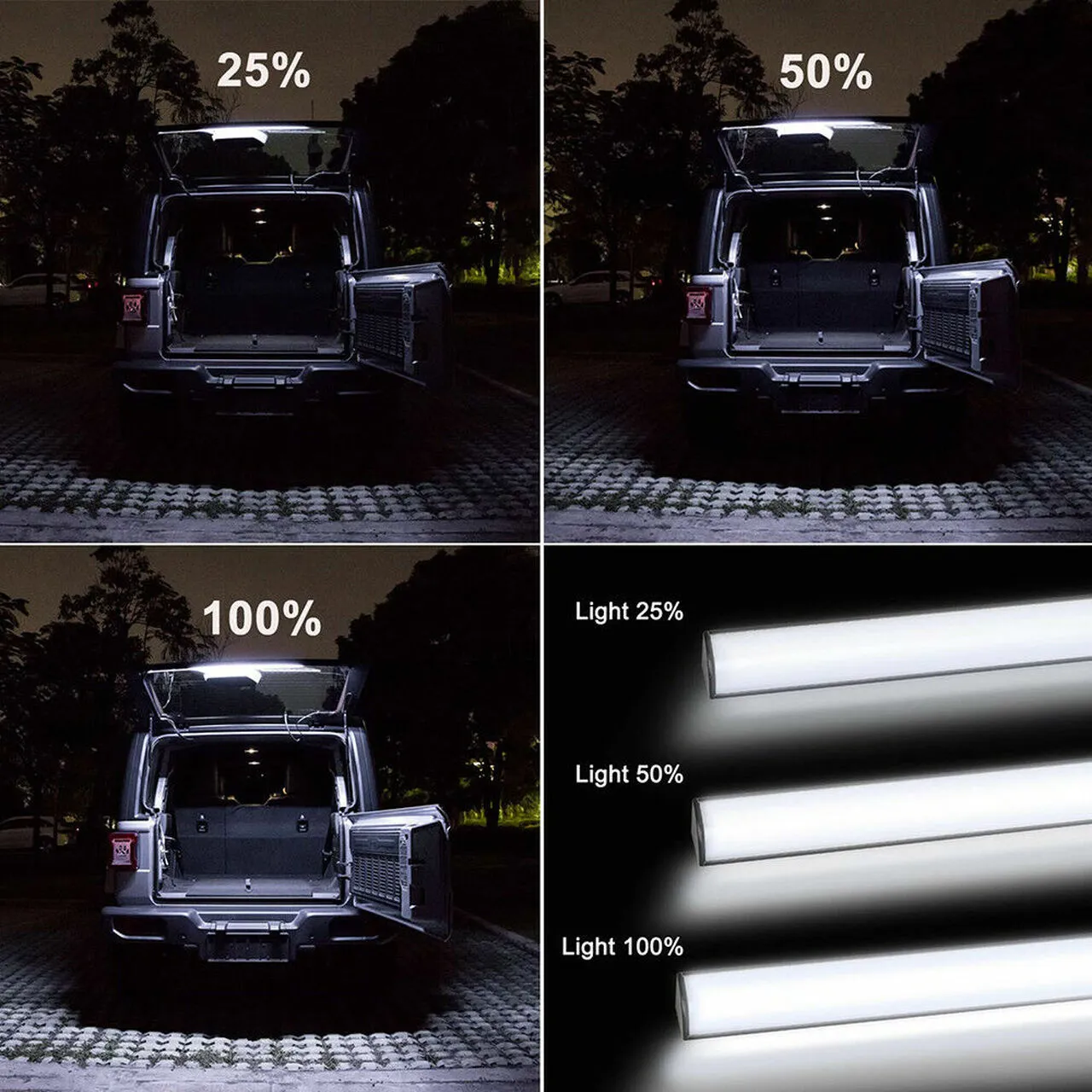 LED Cargo Light