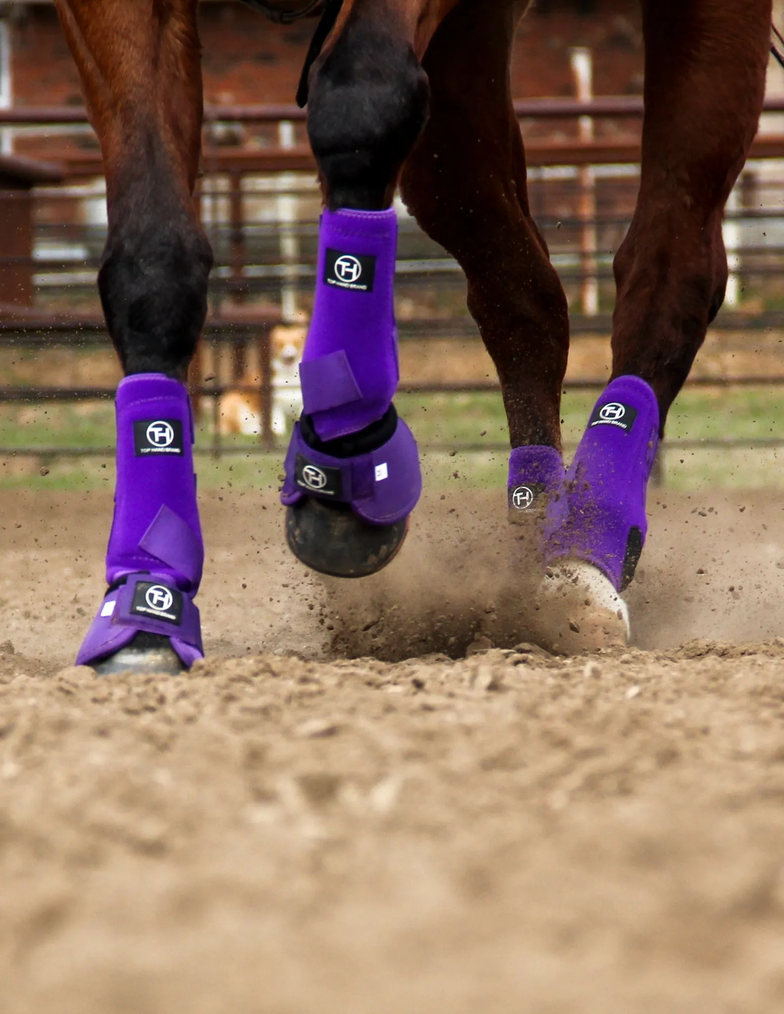 Solid Purple Sport Boot
